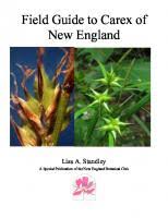 Attēlu rezultāti vaicājumam “Carex chordorhiza”