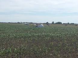 Image result for Holbeach and Fenland