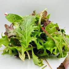 Image result for Pflücksalat