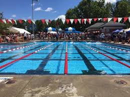 Image result for Ledbury & District Amateur Swimming Club