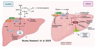 Image result for BCKA