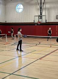 Image result for Rye Badminton Club
