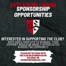 Image result for Llandeilo Rugby Football Club