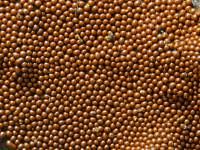 Attēlu rezultāti vaicājumam “Trichia scabra”