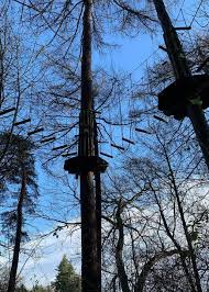 Image result for Go Ape! Leeds Castle