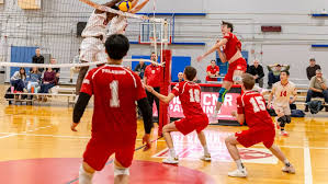 Image result for York University Netball Club