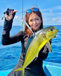 Image result for Coryphaena hippurus