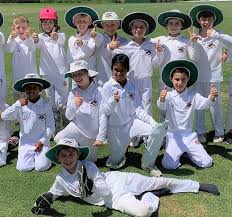 Image result for Hook Norton Junior Cricket Club
