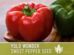 Afbeeldingsresultaat voor yolo wonder sweet pepper