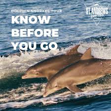 Image result for Belfairs Dolphins Snorkelling Club