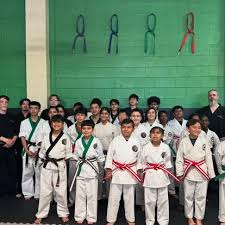 Image result for Imperial Karate Club