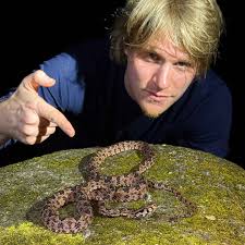 Attēlu rezultāti vaicājumam “Lycogala asperum young”