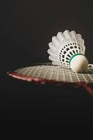 Image result for Phoenix (Aylesbury) Badminton Club