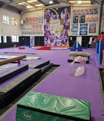 Image result for Loughton Gymnastics Club