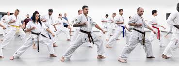 Image result for Thames Valley Karate