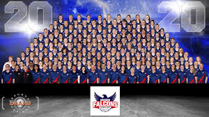 Image result for Normanton Falcons Netball Club