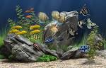 aquarium