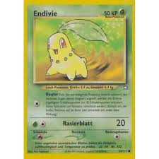 Image result for Endivie