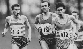 Image result for Bingley Harriers & Athletics Club