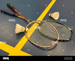 Image result for Jesmond Dene Badminton Club