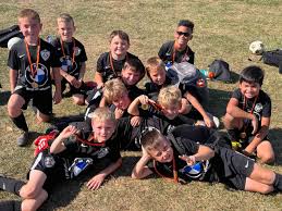 Image result for F C Bulwer