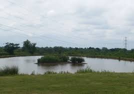 Image result for Lamb Angling Club