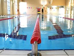Image result for Kingsbridge Kingfishers Swimming Club