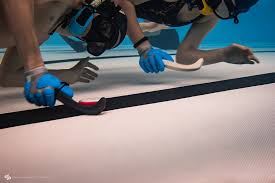 Image result for Caversham Underwater Hockey Club