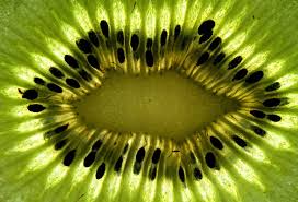 Attēlu rezultāti vaicājumam “macro”