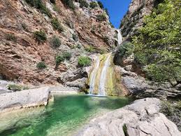 Attēlu rezultāti vaicājumam “Leporida”