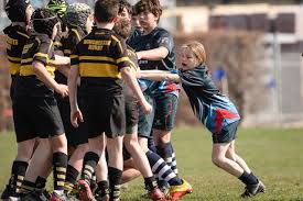 Image result for Winchester Rugby Football Club Ltd
