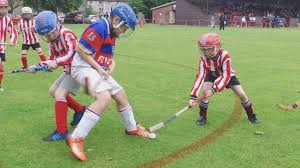 Image result for World of Shinty