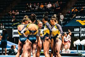 Image result for Biddick Sports College Community Gymnastics Club