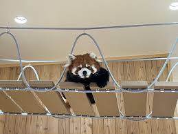 「山田桐生」の画像検索結果