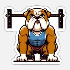 Image result for Bulldogs Power and strength