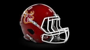 Image result for Southampton Stags