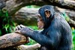 In Thought ... — Fotopedia - via Daymix