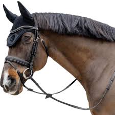 Image result for scheuklappen