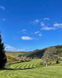 Image result for Woll Golf Course
