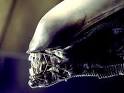 Exclusive: Tony Scott Confirms Carl Rinsch is Directing New ALIEN ...