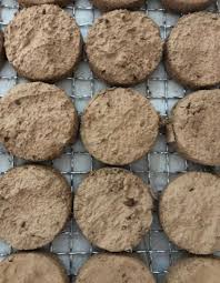 Attēlu rezultāti vaicājumam “Plagiochila porelloides”