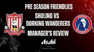 Image result for Dorking Wanderers F C