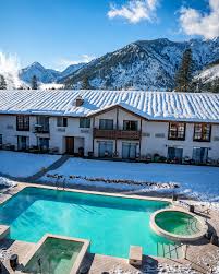 Image result for Enzian