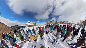 Image result for skiptondivers