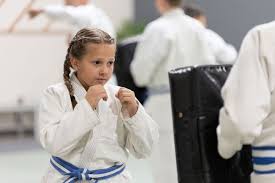 Image result for Trusted Guard Martial Arts Dojo