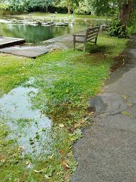 Image result for Ilfracombe Table Tennis Club