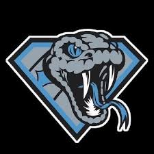 Image result for Sidewinders Baseball Club