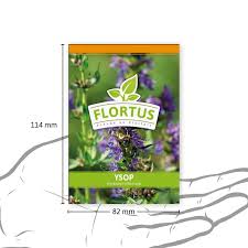 Image result for Ysop