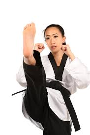 Image result for Vision Martial Arts