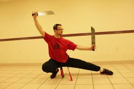 Image result for Tora Dojo